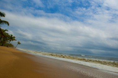 Egzotik sahil doğası ve ufukta bulutlar. Deniz kıyısı hattı. Açık hava manzarası.