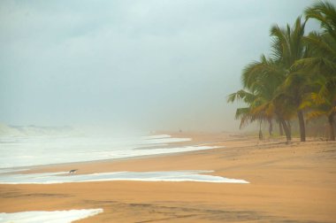 Kerala, Hindistan 'da el değmemiş tropik plaj