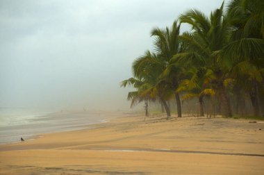 Kerala, Hindistan 'da el değmemiş tropik plaj