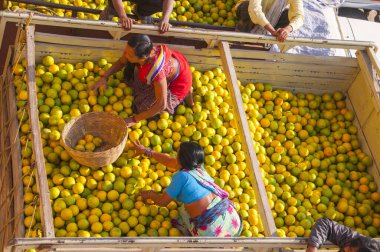 Hindistan 'da çiftçi pazarında turuncu ambalajlı kadınlar.