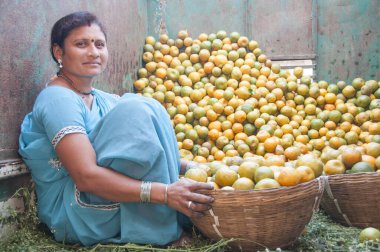 Hindistan 'da, sokakta portakal satan kadın satıcısı..