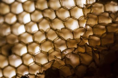 Bal peteğinin dokusu ve deseni, soyut arkaplan