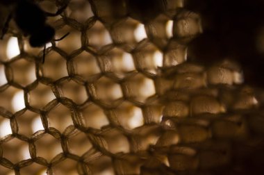 Bal peteğinin dokusu ve deseni, soyut arkaplan