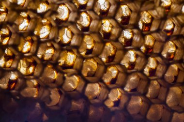 Bal peteğinin dokusu ve deseni, soyut arkaplan