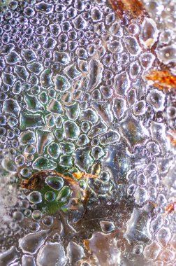 Çiy damlaları soyut doğa arkaplanını kapatır