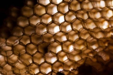 Bal peteğinin dokusu ve deseni, soyut arkaplan