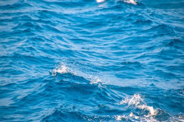 Itimad ud Daulah ya da Baby Taj Agra Hindistan 'da. Babür mozolesi genellikle mücevher kutusu olarak tanımlanır, bazen Bebek Taj olarak da adlandırılır, Itimad ud Daulah 'ın mezarı.