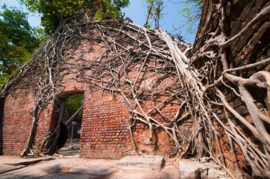 Andaman ve Nicobar Adaları 'ndaki Ross Adası' nda İngilizlerin kullandığı terk edilmiş ve harap bir ev.