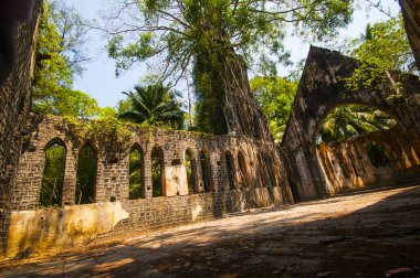 Eski presbiteryen kilisesi Ross Adası, Liman Blair, Andaman ve Nicobar Hindistan 'ı harap etti.