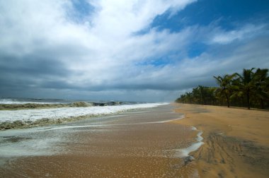 Mararikulam kumsalı, Alappuzha, Kerala, Hindistan