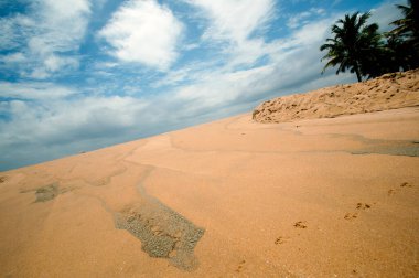 Mararikulam kumsalı, Alappuzha, Kerala, Hindistan