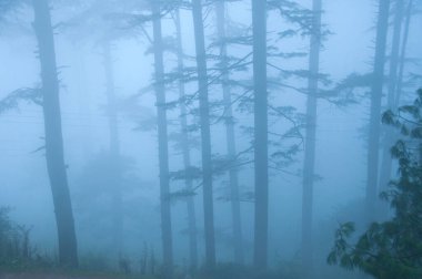 Jammu 'dan Srinagar Yolu' na, Jammu ve Kashmir Eyaleti 'ne kadar güzel bir manzara.