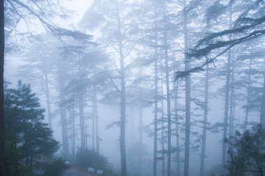 Jammu 'dan Srinagar Yolu' na, Jammu ve Kashmir Eyaleti 'ne kadar güzel bir manzara.