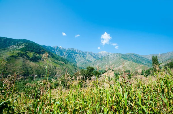 Jammu 'dan Srinagar Yolu' na, Jammu ve Kashmir Eyaleti 'ne kadar güzel bir manzara.