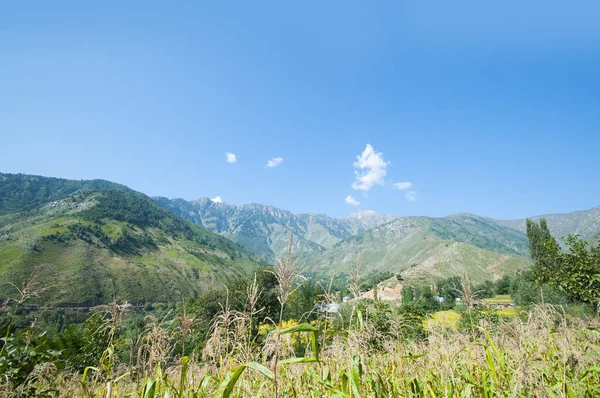 Jammu 'dan Srinagar Yolu' na, Jammu ve Kashmir Eyaleti 'ne kadar güzel bir manzara.