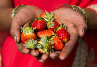 Elimde taze çilek tutuyordum.