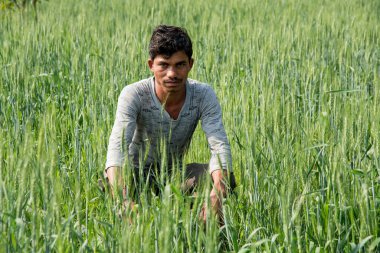 Hintli çiftçi tarlasında.