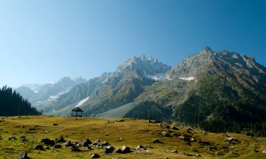 Güzel dağ manzarası ve çimen tarlası, Jammu ve Kashmir Eyaleti, Hindistan