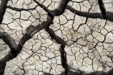 Kurumuş toprak deseni, ısı ve kuraklık etkileri. Küresel ısınma kavramı.,
