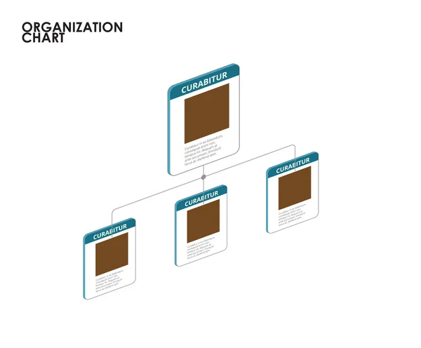 Organizační diagram infografika s strom. vektorové ilustrace — Stockový vektor