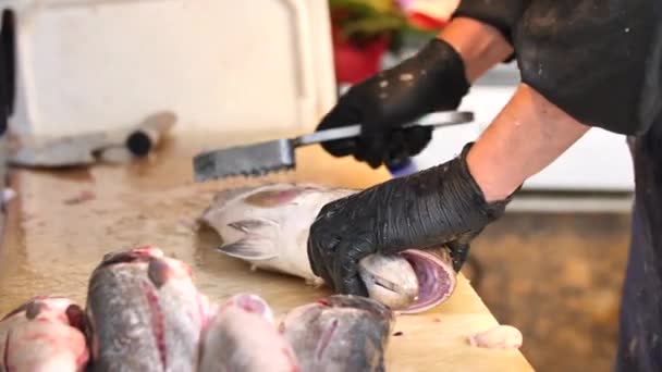 Visser schoonmaken van vis in slow motion Vismarkt Istanbul — Stockvideo