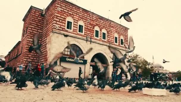 Птицы, летящие перед базаром специй в Стамбуле, двигаются медленно — стоковое видео