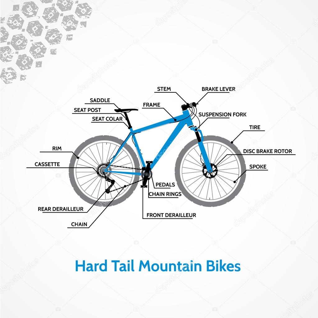 Hard Tail Mountain Bikes.