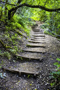 uzun Ahşap merdiven