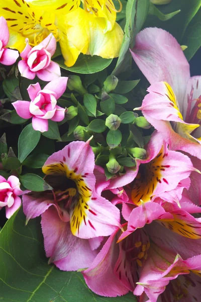 Buquê de flores — Fotografia de Stock