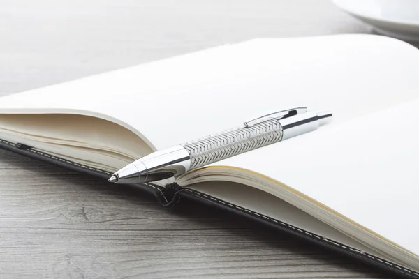 deri notebook kalemle Gümüş Top.