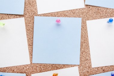 boş notlar ve çok renkli raptiye