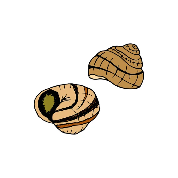 카고를 그렸다 프랑스 달팽이 포장을 스케치 요소를 디자인하 배경에 그려진 — 스톡 벡터