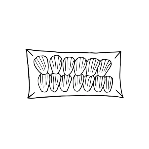 Vector Hand Getekend Madeleine Franse Keuken Dessert Ontwerp Schets Element — Stockvector