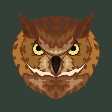 Bir baykuşun el çizimi portresi. Dövme, logo, duvar dekorasyonu, tişört baskısı tasarımı ya da giysisi için renkli vektör çizimi. Bu çizimi kumaş üzerinde yapmak güzel olurdu, tuval..