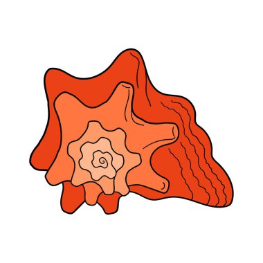 Hand-drawn turban shell of engraved line. Design element for invitations, greeting cards, posters, banners, flyers and more.  Vector colorful illustration isolated on white background.