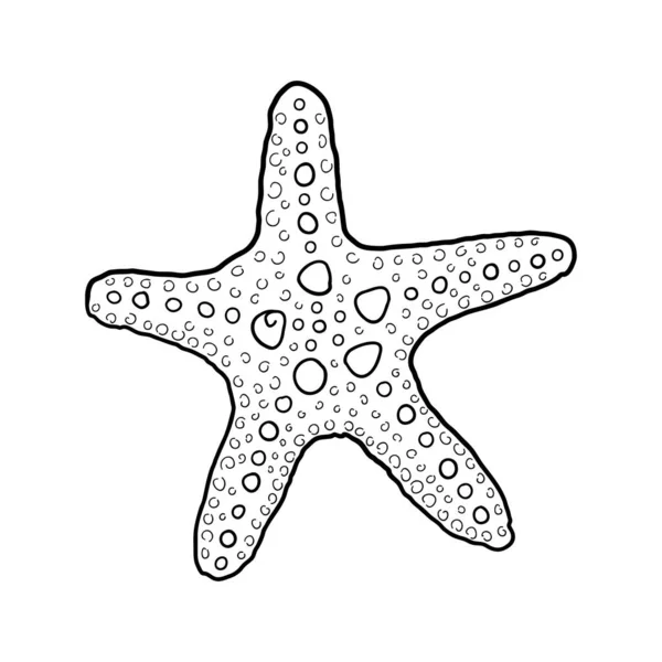 Estrela Mar Desenhada Mão Linha Gravada Elemento Design Para Convites — Vetor de Stock