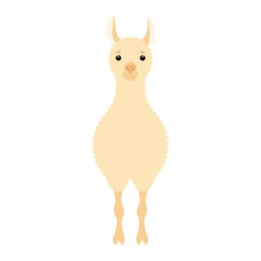 Şirin lama. Tekstil, poster, afiş, el ilanı, kıyafet baskısı için tasarım öğesi. Beyaz arkaplanda izole edilmiş vektör renkli illüstrasyon.