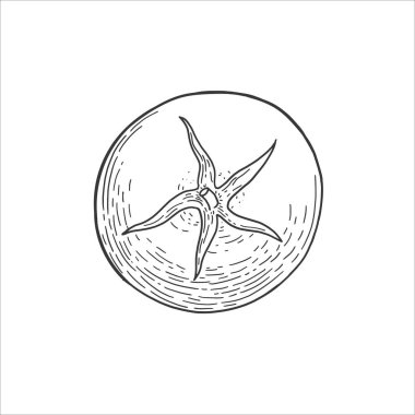 Eski tarz domates oymalı illüstrasyon