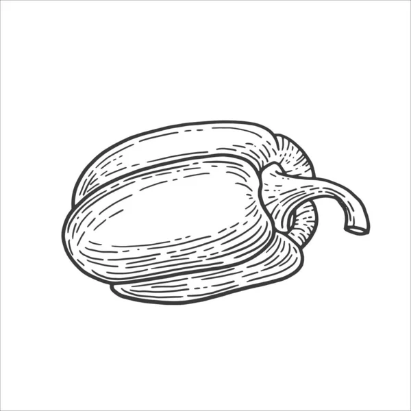 Gravyr peppar illustration i retro vintage stil — Stock vektor
