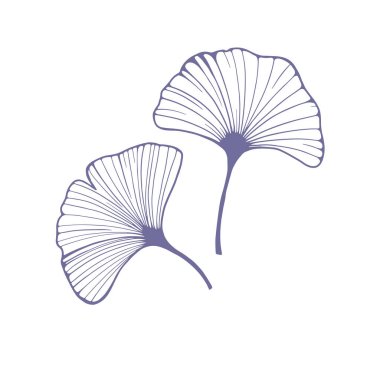 Ginkgo biloba yaprağı siyah ve beyaz izole edilmiş. Organik gıda ve kozmetik ürünleri için vektör soyut logo tasarım şablonu trend doğrusal minimal stil konsepti.