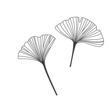 Şeffaf arka planda izole edilmiş lüks aksesuarlar için inci 3D parlak gerçekçilik. Vektör İllüstrasyonu.