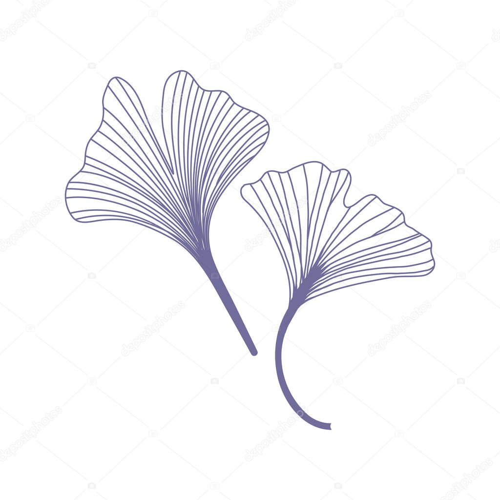 Ginkgo biloba leaves. Hand drawing elements for logo wedding cards, cosmetics, tattoo, spa, jewelry, yoga design. Vector illustration in a minimal linear style.