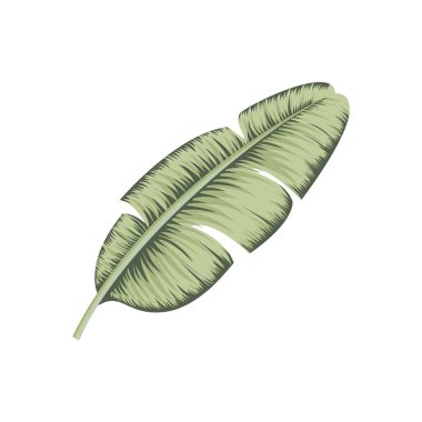 Duvar kağıdı tasarımı için klasik tropikal yaprak. Egzotik düğün çiçekleri. Tatil dekorasyonu. Moda baskısı. Eski arkaplan posteri.