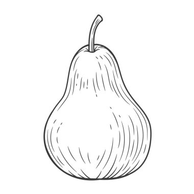 Armut oymalı vintage çizimi beyaz arkaplanda izole edilmiş. Organik gıda el çizimi. Siyah özet.