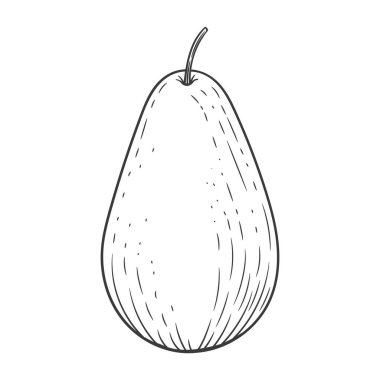 Avokado oymalı vintage resimleme beyaz arka planda izole edildi. Organik gıda el çizimi. Siyah özet.