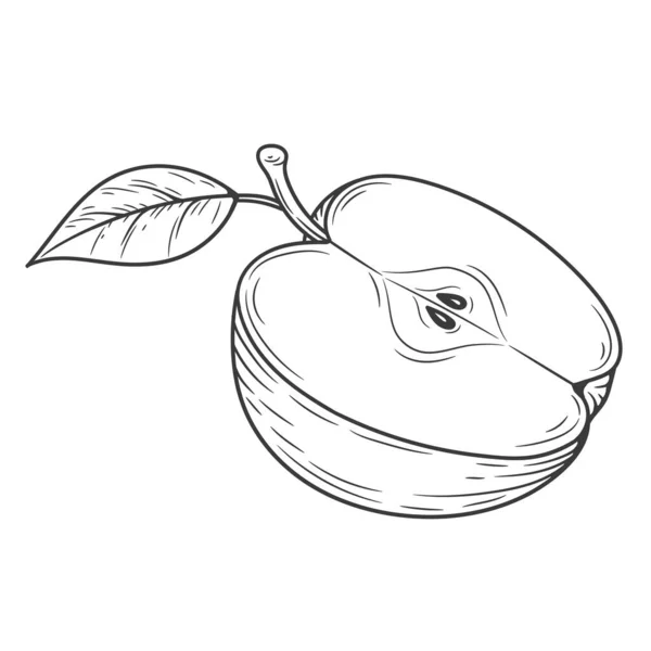 苹果半雕刻老式插图孤立在白色背景 有机食品手绘草图 黑色轮廓 — 图库矢量图片