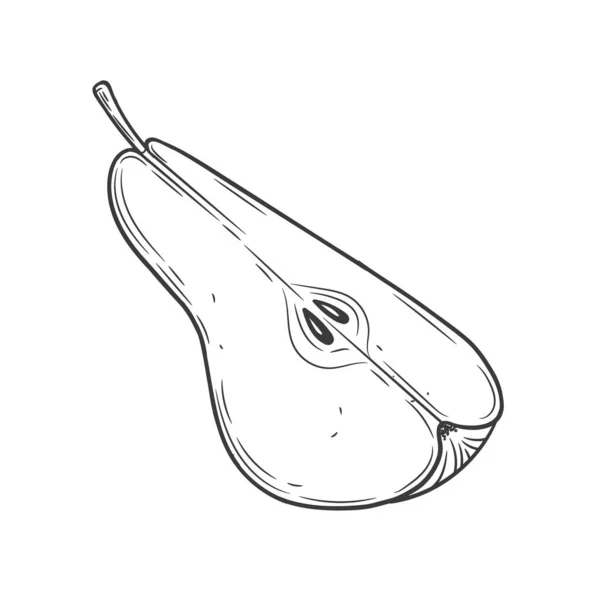 白を基調としたヴィンテージのイラストが刻まれた梨のスライス 有機食品の手スケッチを描いた ブラックアウトライン — ストックベクタ