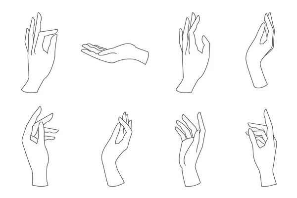 Жіноча Піктограма Руки Окреслює Стиль Елегантні Жіночі Руки Різних Жестів — стоковий вектор