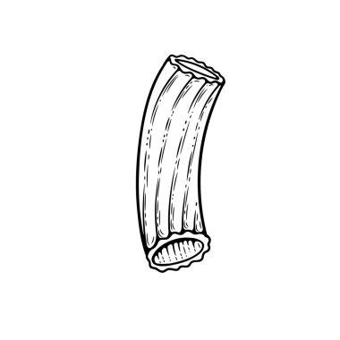 Tortiglioni makarna skeci. Karalama ana hatları siyah-beyaz klasik makarna çizimi. Beyaz arkaplanda el çizimi.