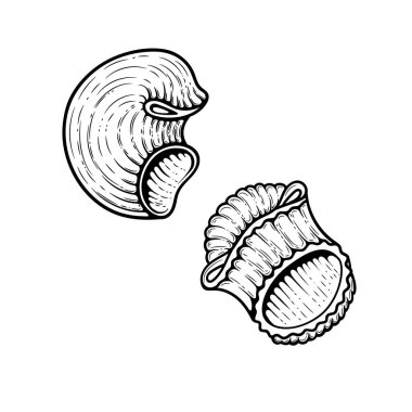 Rip rigate makarna skeci. Karalama ana hatları siyah-beyaz klasik makarna çizimi. Beyaz arkaplanda el çizimi.